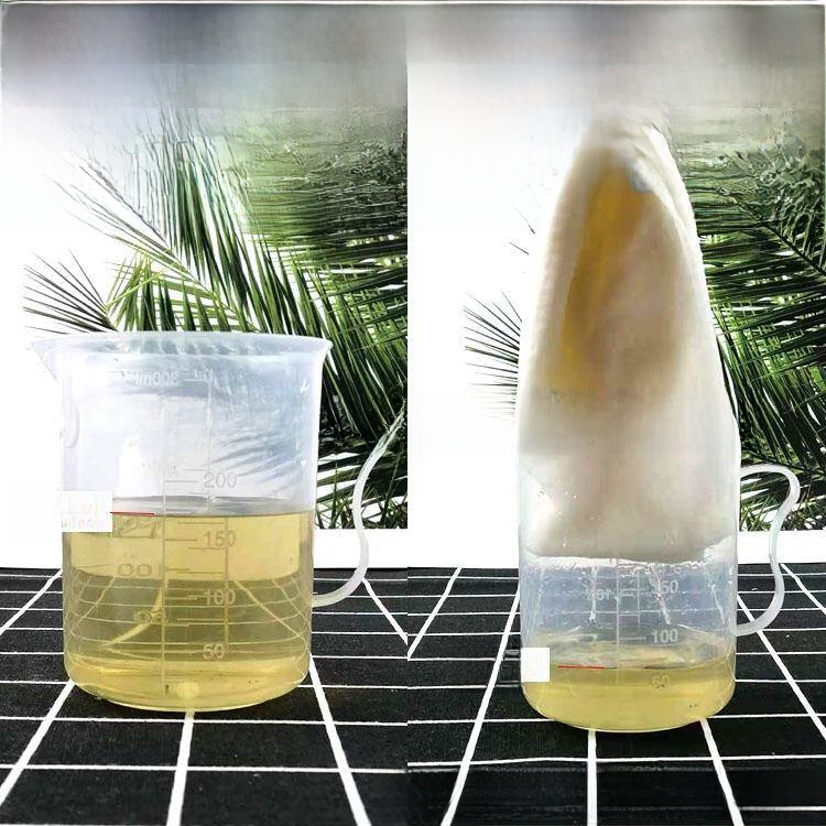 Disposable Thickened Wood Pulp - Home Barber บทวิจารณ์และราคา